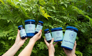Accelerate Spotlight: Jillian Mariani, Founder of Niyama Wellness