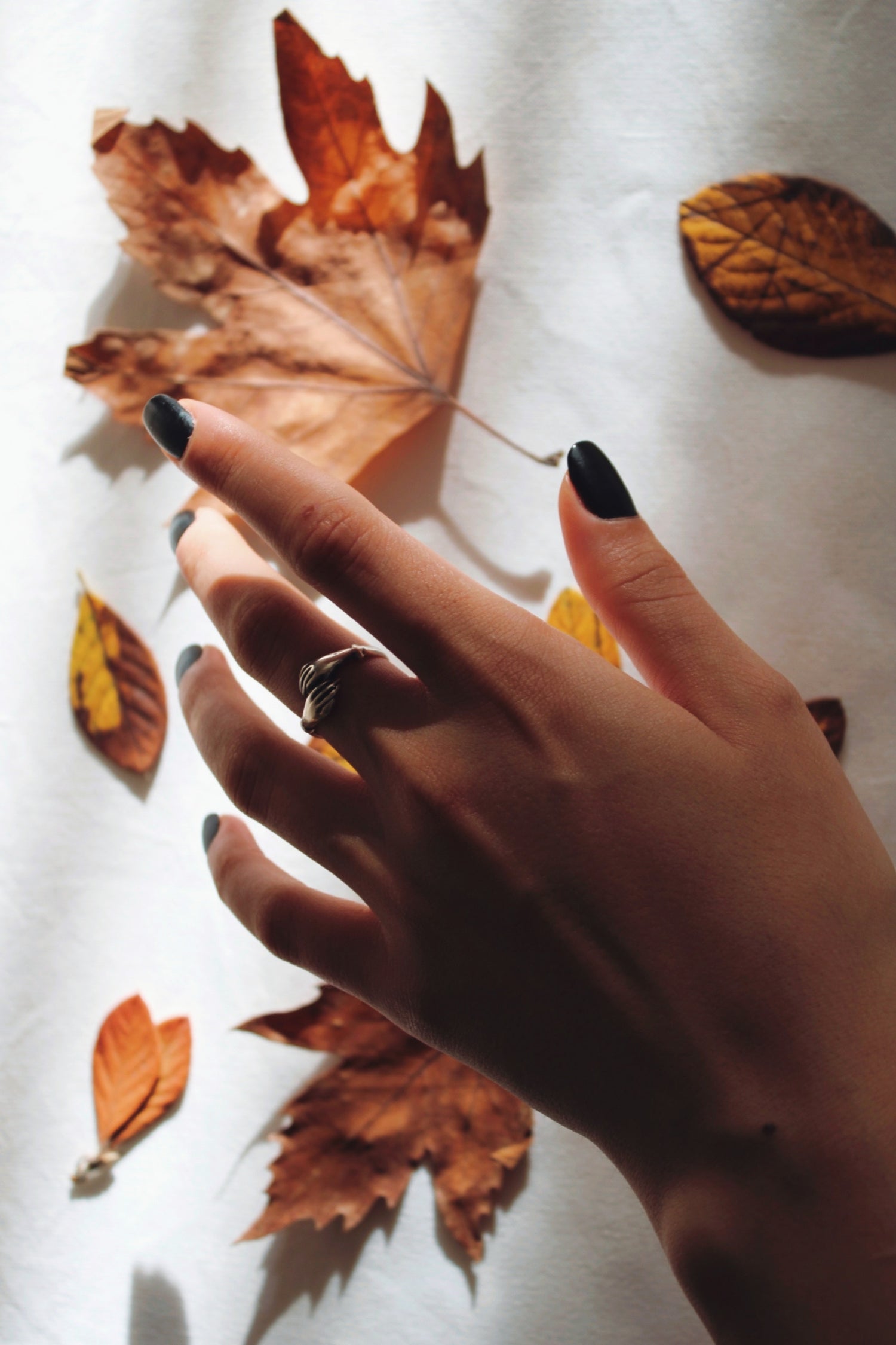 4 Tips to Transition to Fall